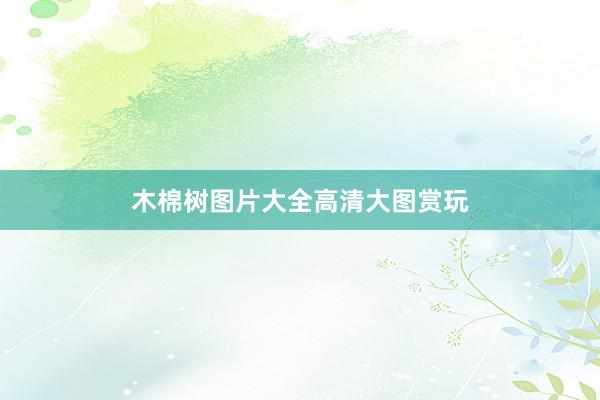 木棉树图片大全高清大图赏玩