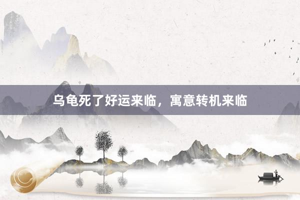 乌龟死了好运来临，寓意转机来临
